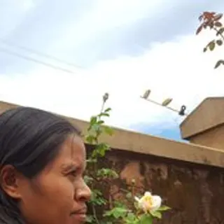 Profile photo of anishey