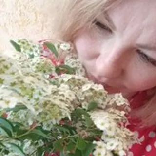 Profile photo of Sweet_Symphony