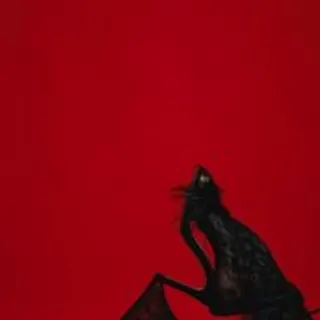 Profile photo of sexymaya22