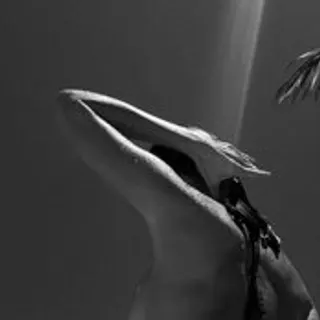 Profile photo of lalaoy
