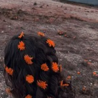 Profile photo of karnaval