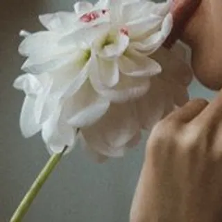 Profile photo of bigleroyboobs