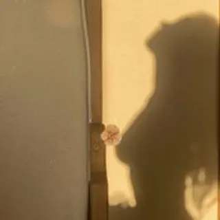 Profile photo of lily2562