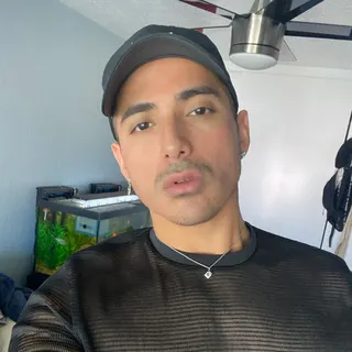Profile photo of Vektor