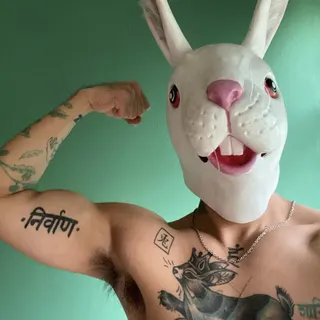 Profile photo of El Conejo Rey 🐇👑