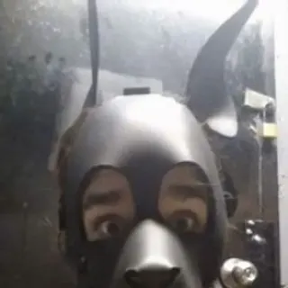 Profile photo of Pup Weisses