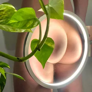 Profile photo of Alexplicit