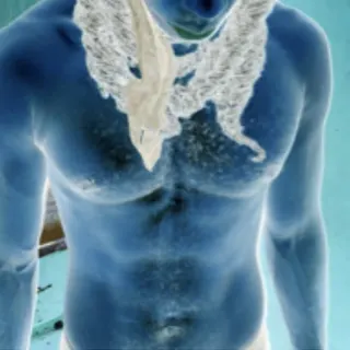 Profile photo of NastyDomTop