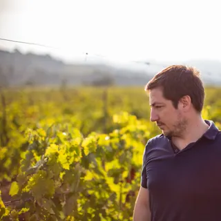 Profile photo of Allan Rice