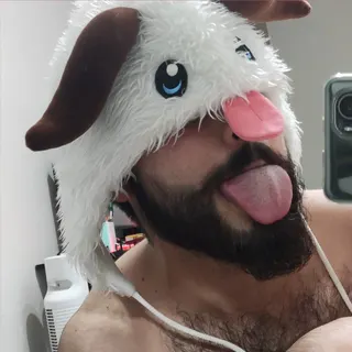 Profile photo of Cachorro