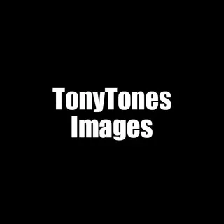 Profile photo of Tony Tones