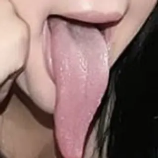Profile photo of Reptil