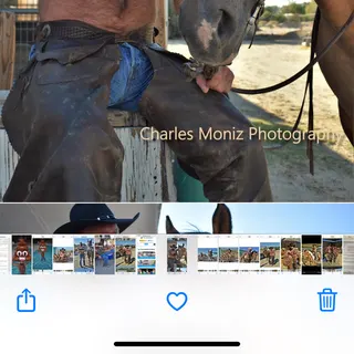 Profile photo of Buck James