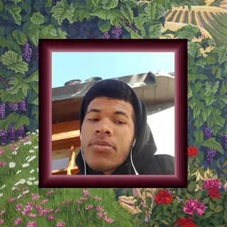 Profile photo of Sangria Maroon