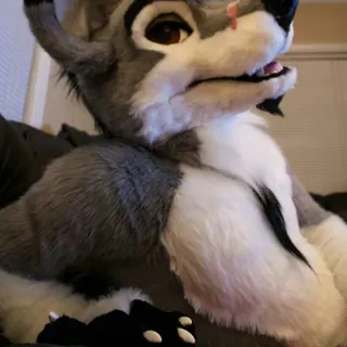 Profile photo of HavocStallion