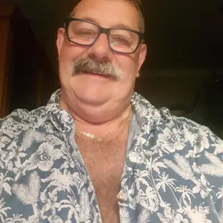Profile photo of Woodland bear