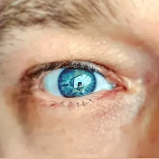 Profile photo of BigThingFromAmsterdam