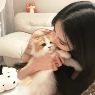 Profile photo of ilovecat_lalala