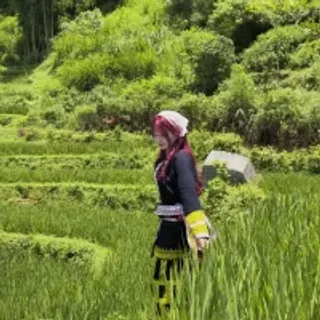 Profile photo of banlinh004