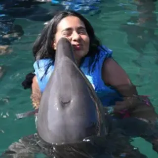Profile photo of valeryvegas_2