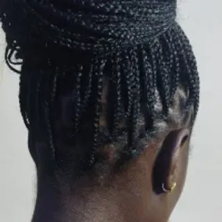 Profile photo of melancleo