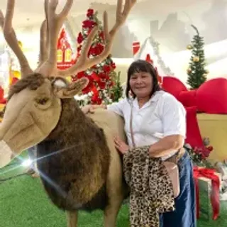 Profile photo of simpleasianmom