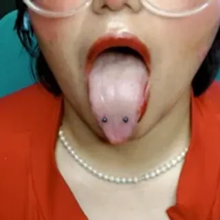 Profile photo of ohmysqueak