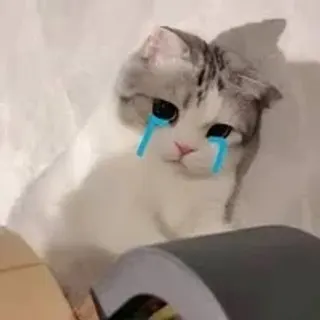 Profile photo of mij-uwuu