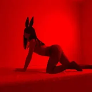 Profile photo of maddieperez