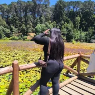 Profile photo of dulcitathiic