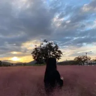 Profile photo of koreanpickles