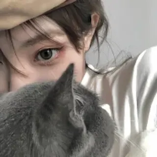 Profile photo of stellar-bb
